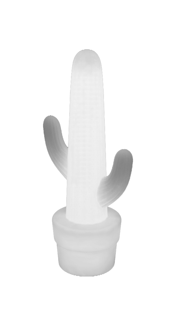 KAKTUS 100 Außenstandleuchte Transparent